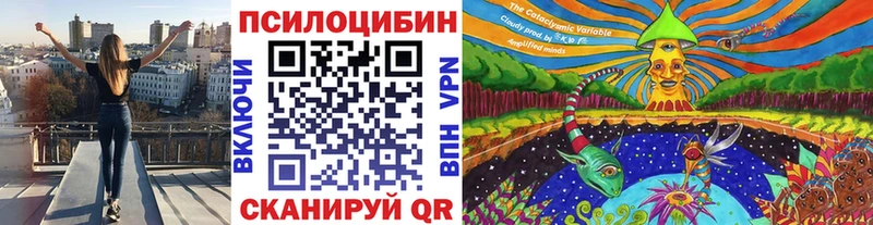Галлюциногенные грибы Cubensis  блэк спрут маркетплейс  Моршанск 